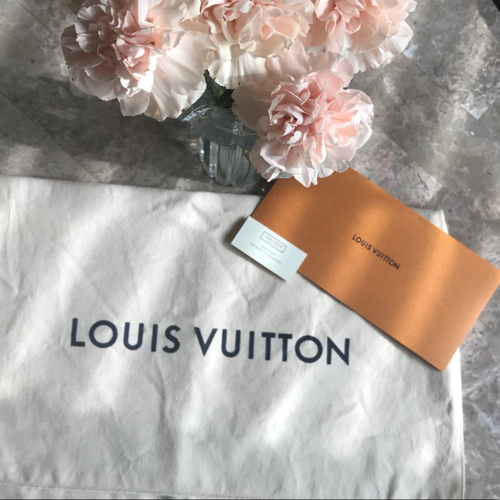 Louis Vuitton LG purse dust bag 👛